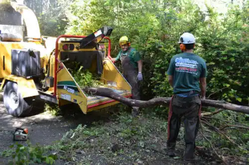 tree services DeFuniak Springs